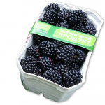 Organic Fresh Blackberries