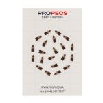 ����� ������ �� ��� FEROBAND