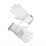 ������/������ ���������